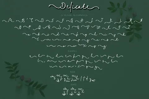 Delicate1 font