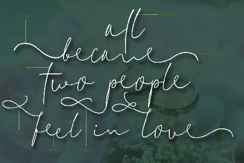 Delicate1 font