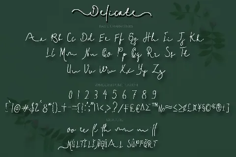 Delicate1 font