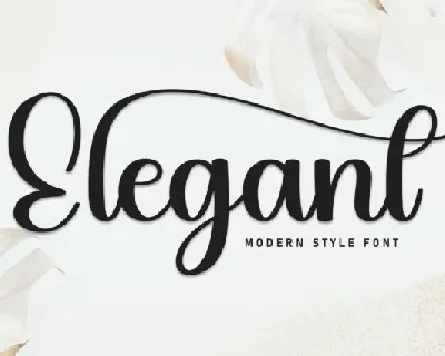 Elegant Script Typeface font