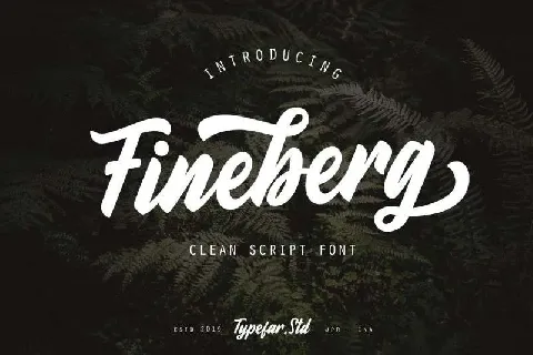 Fineberg font