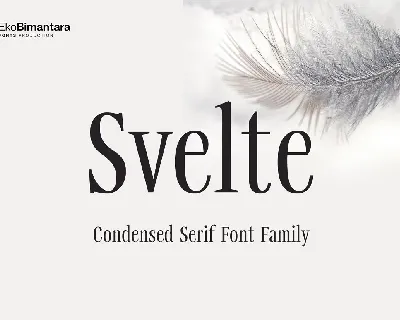 Svelte font