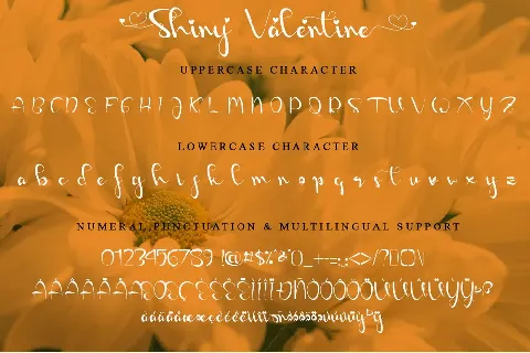 Shiny Valentine - Personal Use font