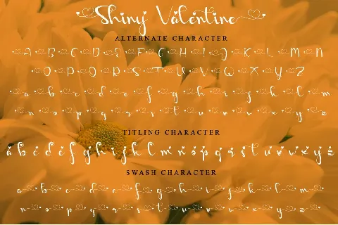 Shiny Valentine - Personal Use font