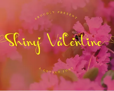 Shiny Valentine - Personal Use font