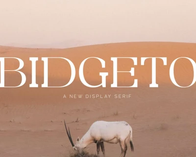 Bidgeto font