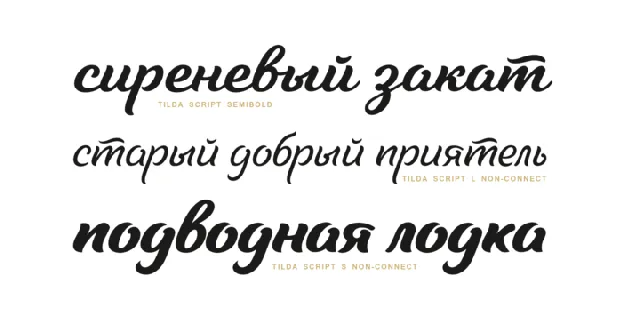 Tilda Script Demo font