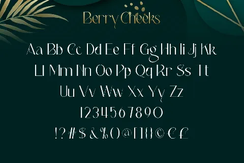 Berry Cheeks Demo font