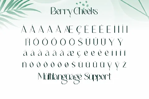 Berry Cheeks Demo font