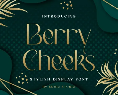 Berry Cheeks Demo font