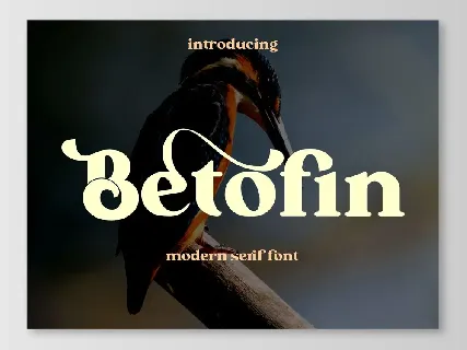 Betofin free for personal use font