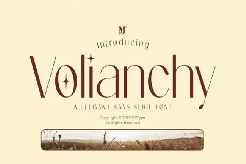 Volianchy font