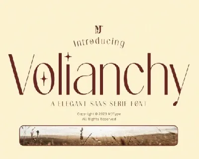 Volianchy font