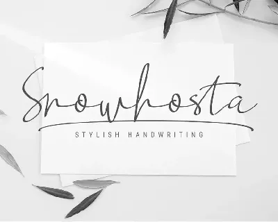 Snowhosta font
