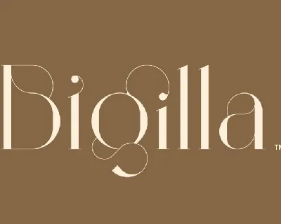 Bigillaâ„¢ Display font