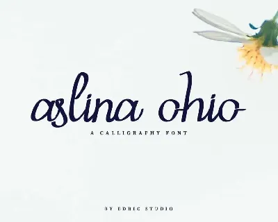 Aslina Ohio Demo font