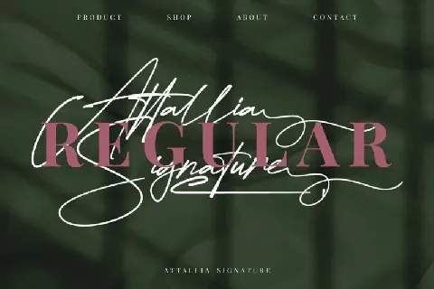 Attallia Signature font