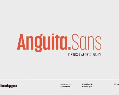 Anguita Sans Family font