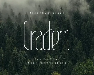 Gradient Family font