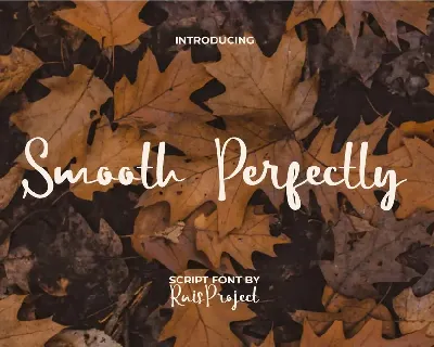 SmoothPerfectly Demo font