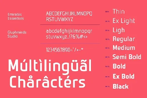 Emirates Essentials Family font