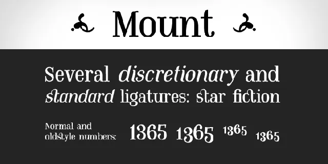 Mount PERSONAL USE ONLY font