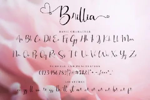 Brillia Modern Calligraphy font