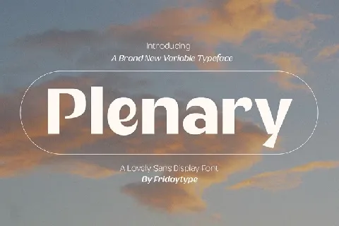 Plenary Family font