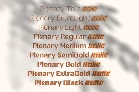 Plenary Family font