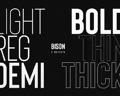 Bison Family font