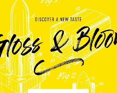 Gloss And Bloom font