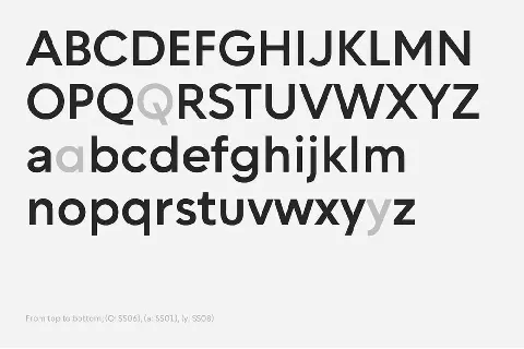 Chesna Grotesk Family font