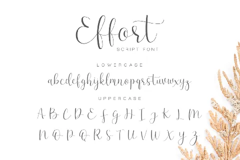 Effort font