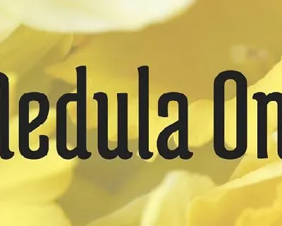 Medula One font