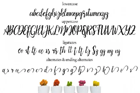 Bicillesta Calligraphy font