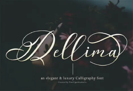 Dellima font