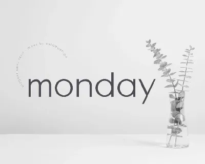 Monday Sans font