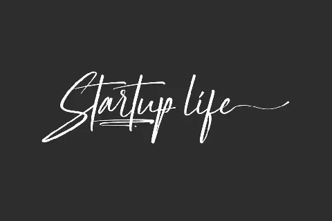 Startup Life Demo font