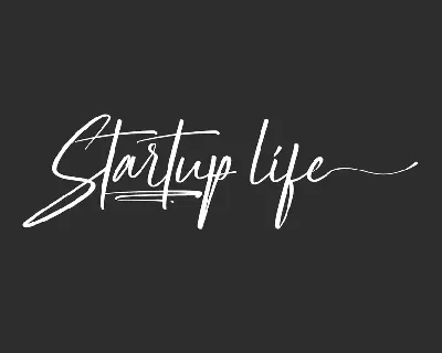 Startup Life Demo font