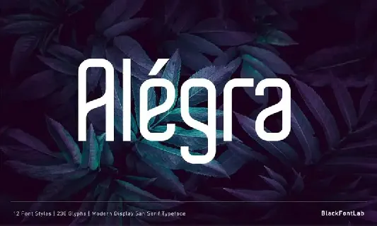 AlÃ©gra Sans Serif font
