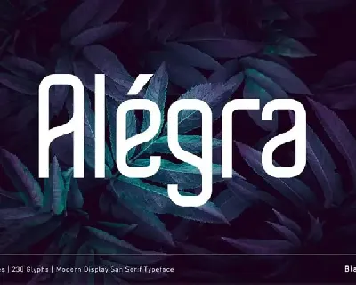 AlÃ©gra Sans Serif font