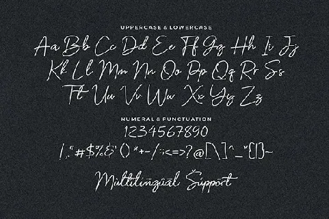 Barttany Monoline Signature font