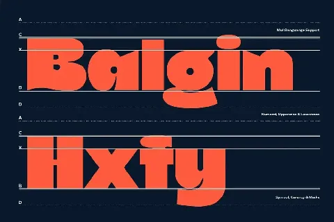Balgin Family font