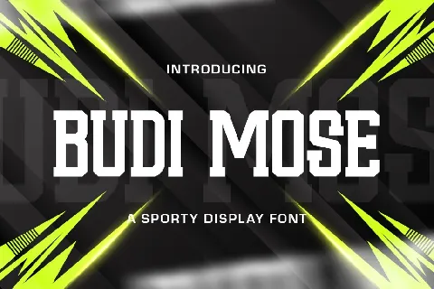 Budi Mose font