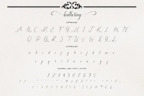 Leathering Demo font