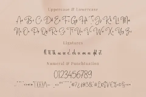 Adigussto font