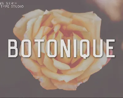 Botonique font