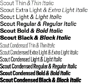 Scout Family font