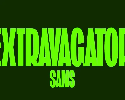 ST Extravagator Sans font