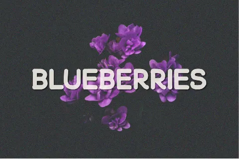 Blueberries font